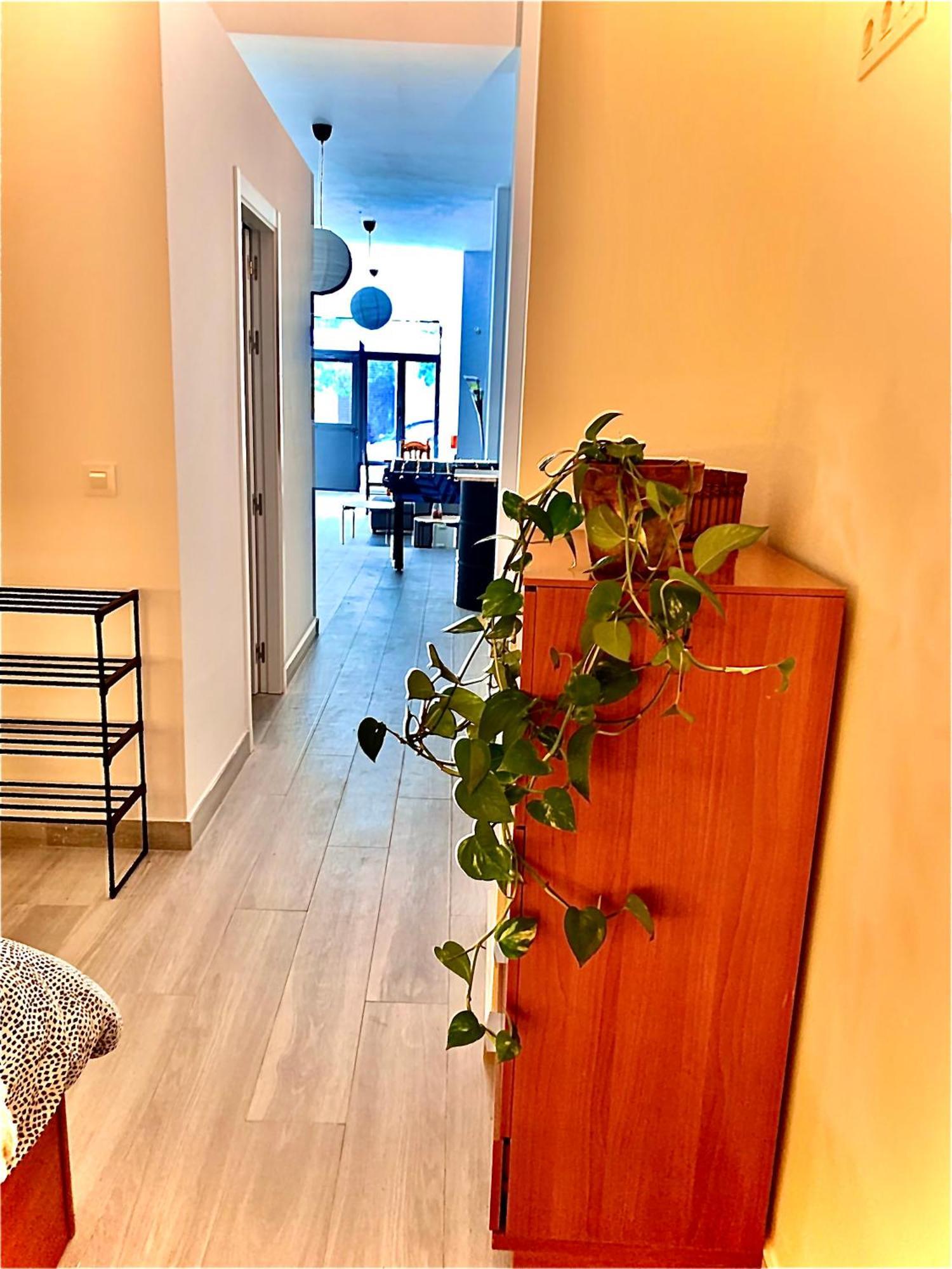 Violeta Loft A With Chill Out Terrace Sevilla Exterior photo